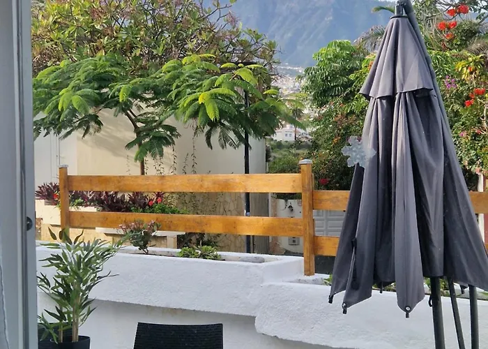 Juli Puerto de la Cruz (Tenerife)